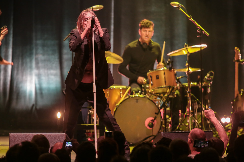 Iggy Pop FREE TOUR 2022  en Concert au Zénith de Lille  le 10/05