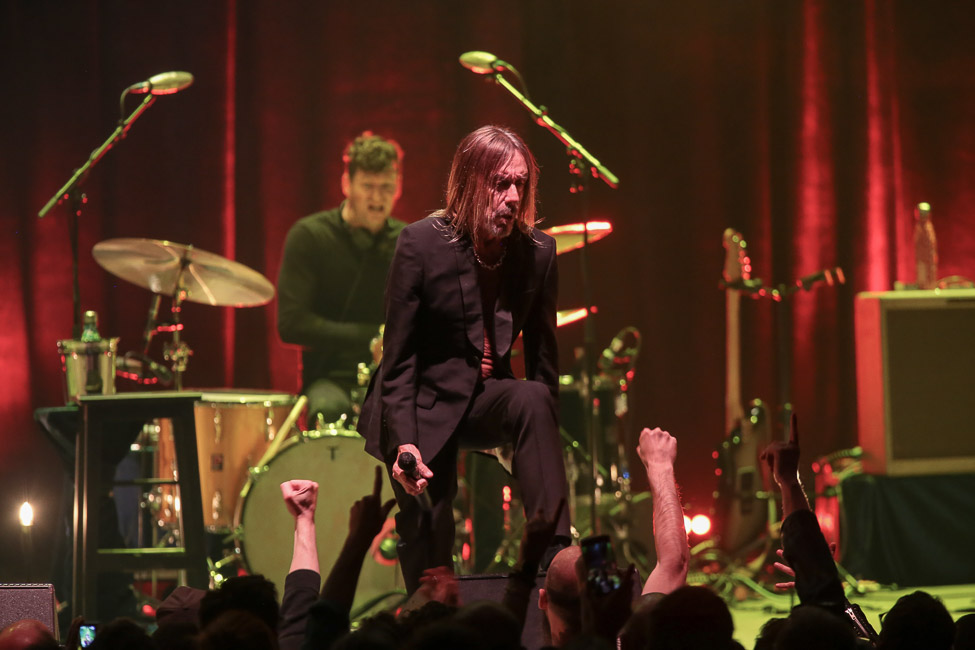 Iggy Pop au Zénith de Lille : non L'iguane n'est pas mort , ce mardi soir devant 2500 spectateurs , il a montré qu'il pouvait encore se crever la paillasse.